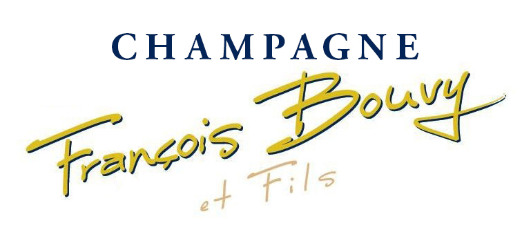 Logo FrancoisBouvyetfils (1)